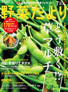 野菜だより