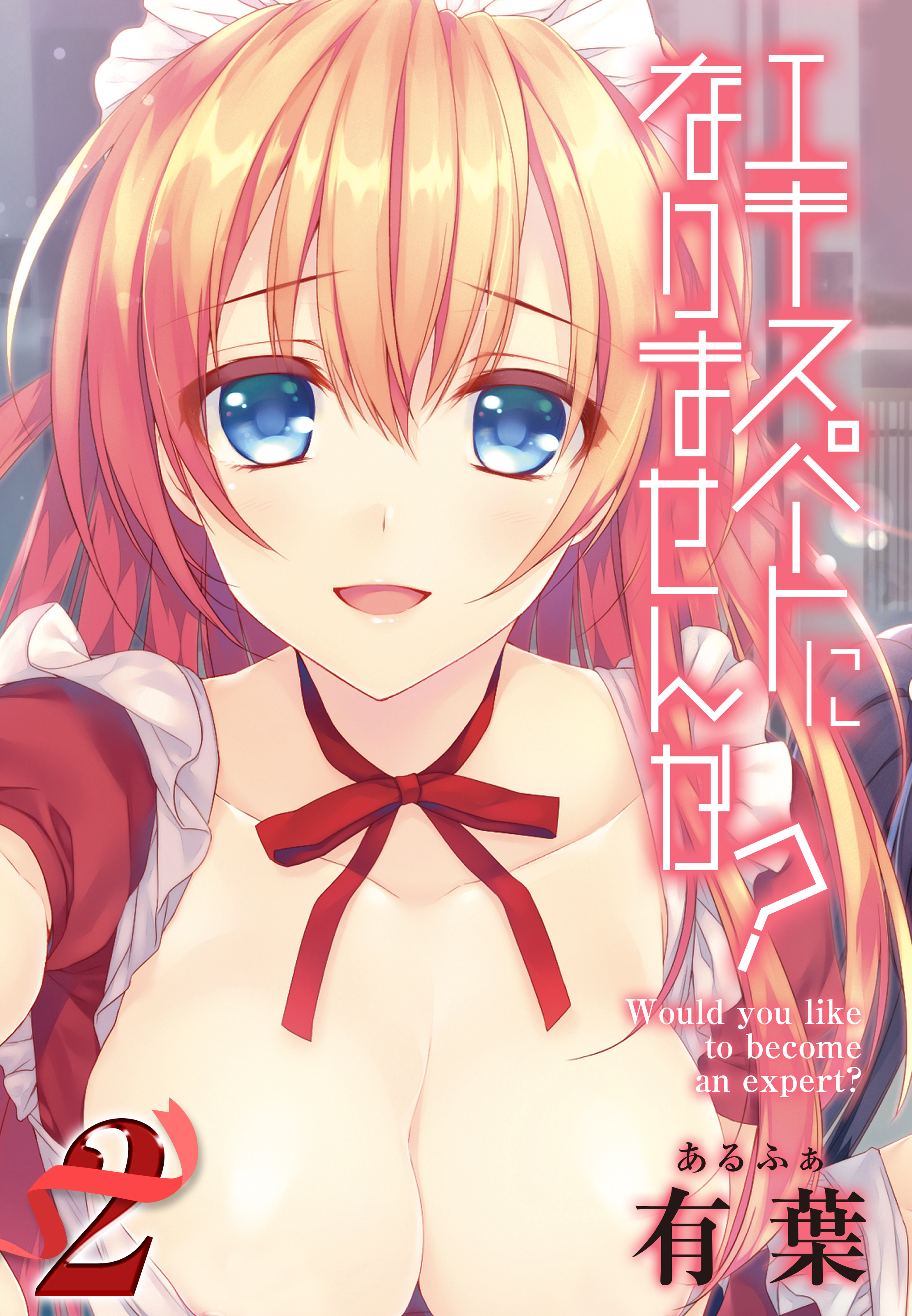 【期間限定　試し読み増量版】エキスパートになりませんか？(2)