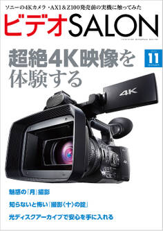 ビデオ SALON (サロン) 2013年 11月号