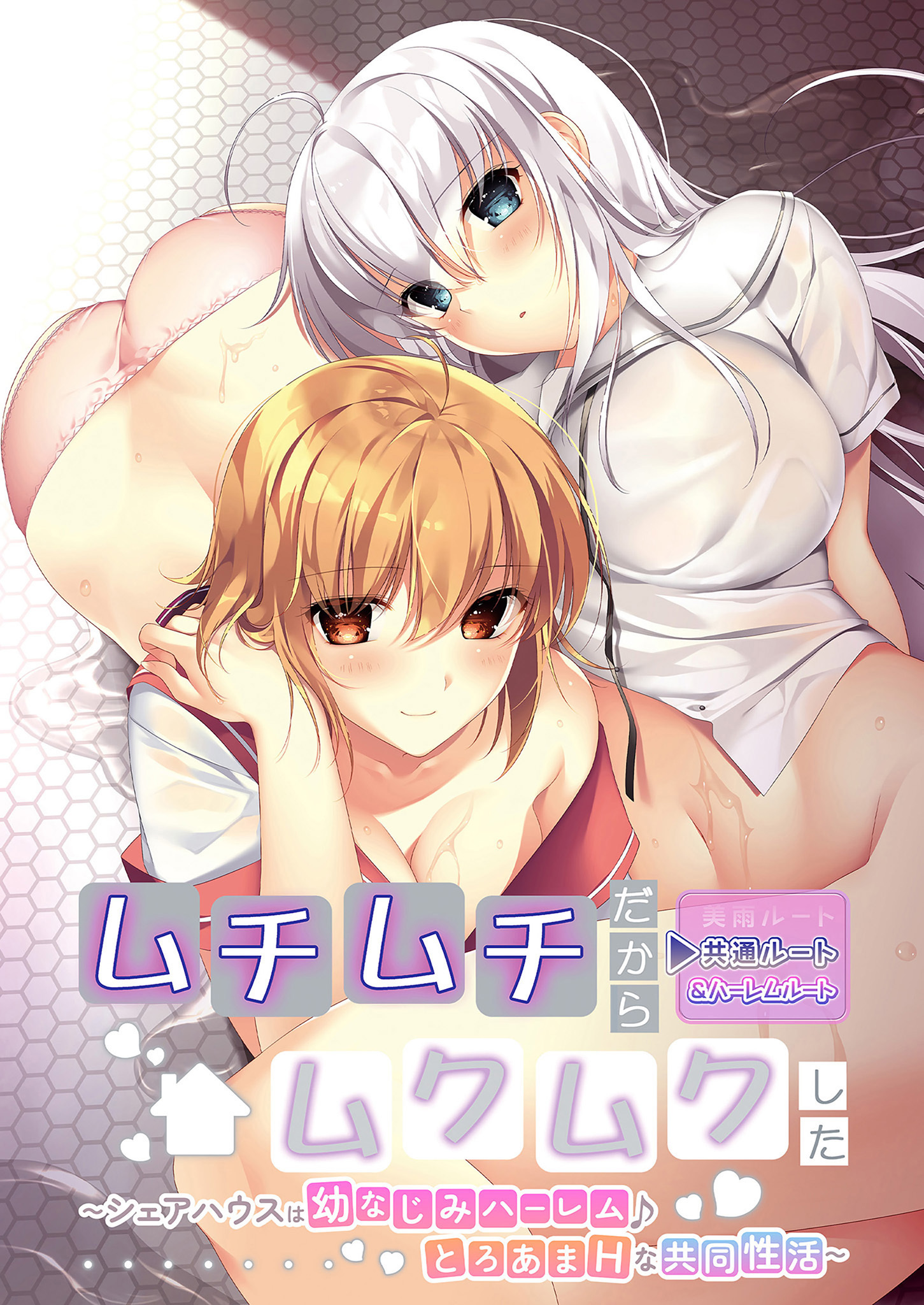 ムチムチだからムクムクした ～シェアハウスは幼なじみハーレム♪とろあまHな共同性活～ 共通＆ハーレムルート