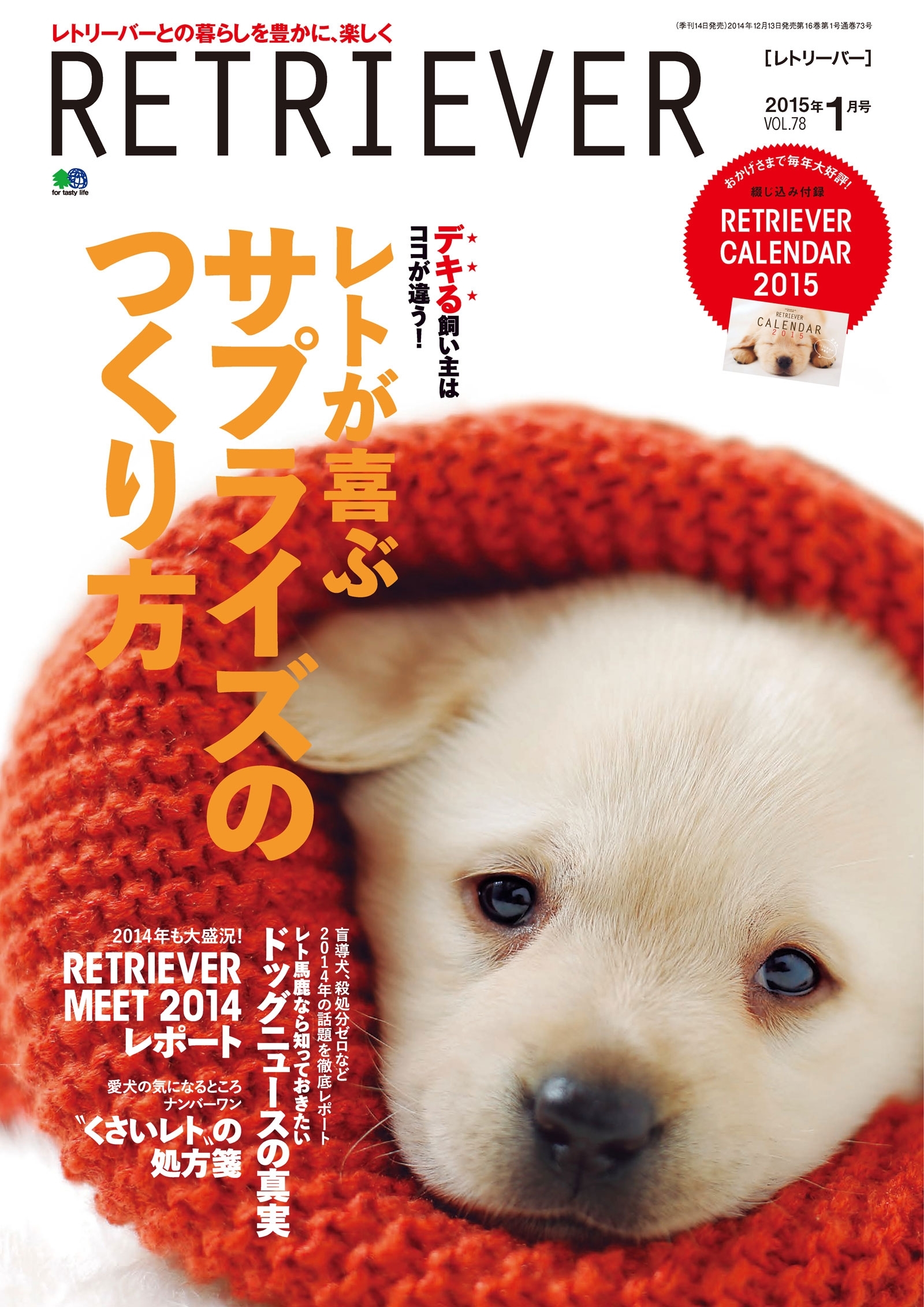 RETRIEVER 2015年1月号