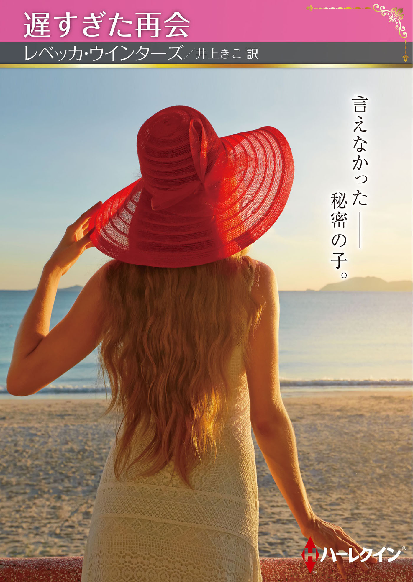 遅すぎた再会【ハーレクインSP文庫版】