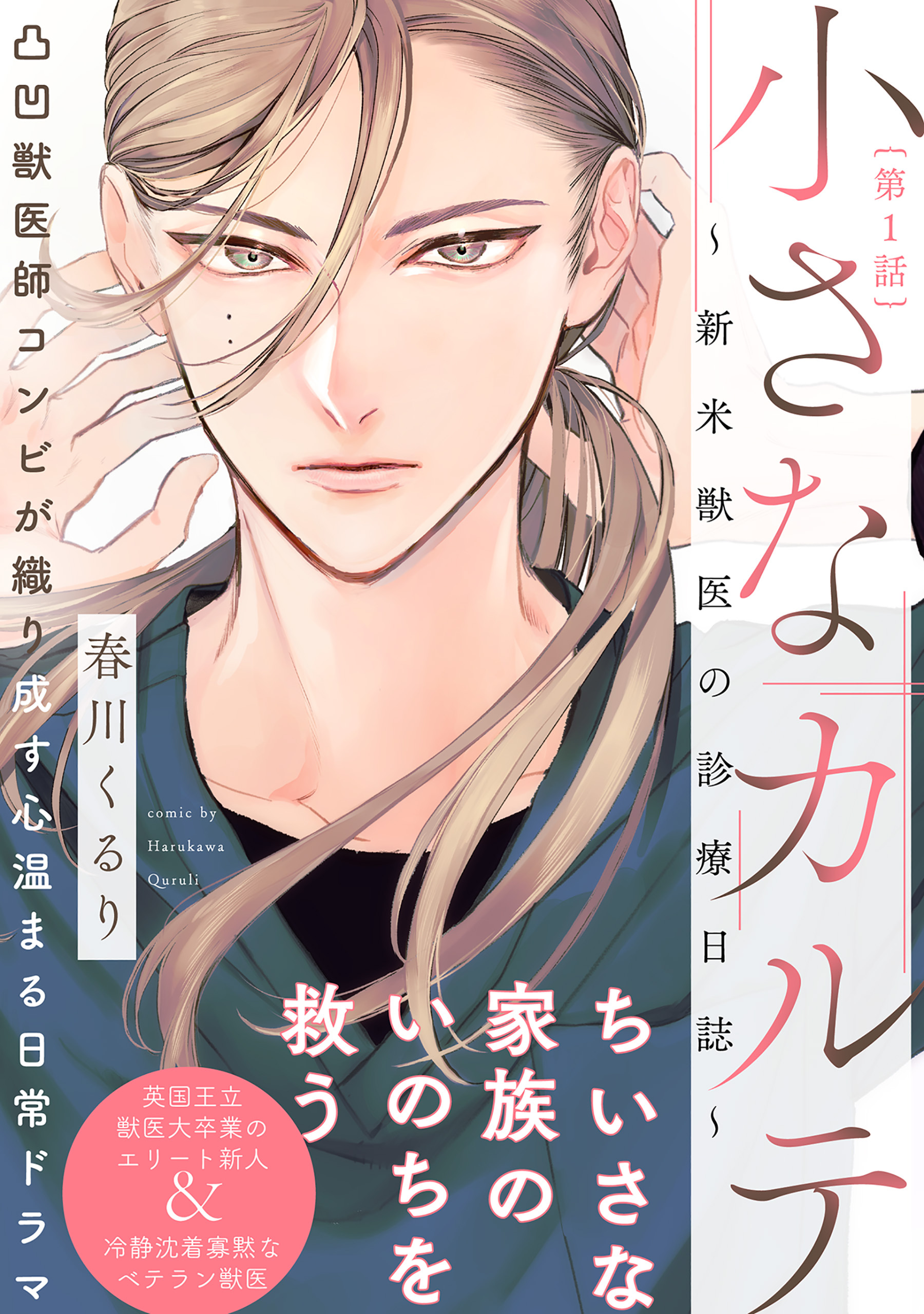 【期間限定　無料お試し版　閲覧期限2026年3月22日】小さなカルテ～新米獣医の診療日誌～(1)