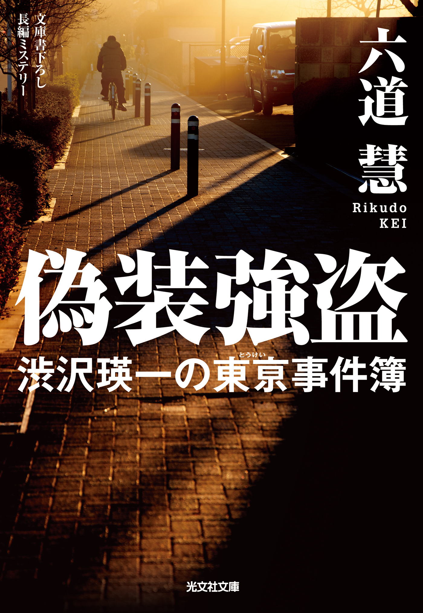 偽装強盗～渋沢瑛一の東亰事件簿～