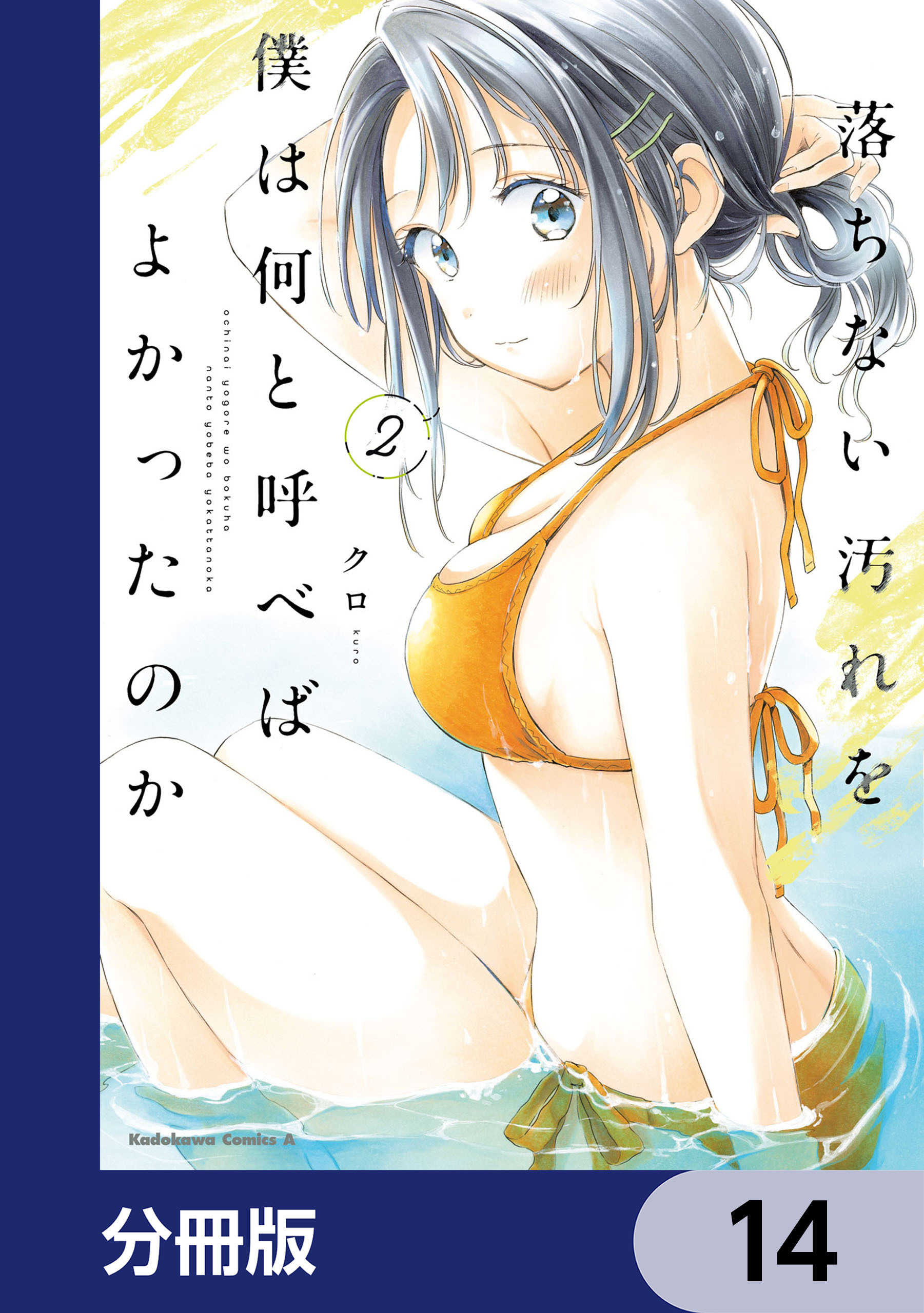 落ちない汚れを僕は何と呼べばよかったのか【分冊版】　14