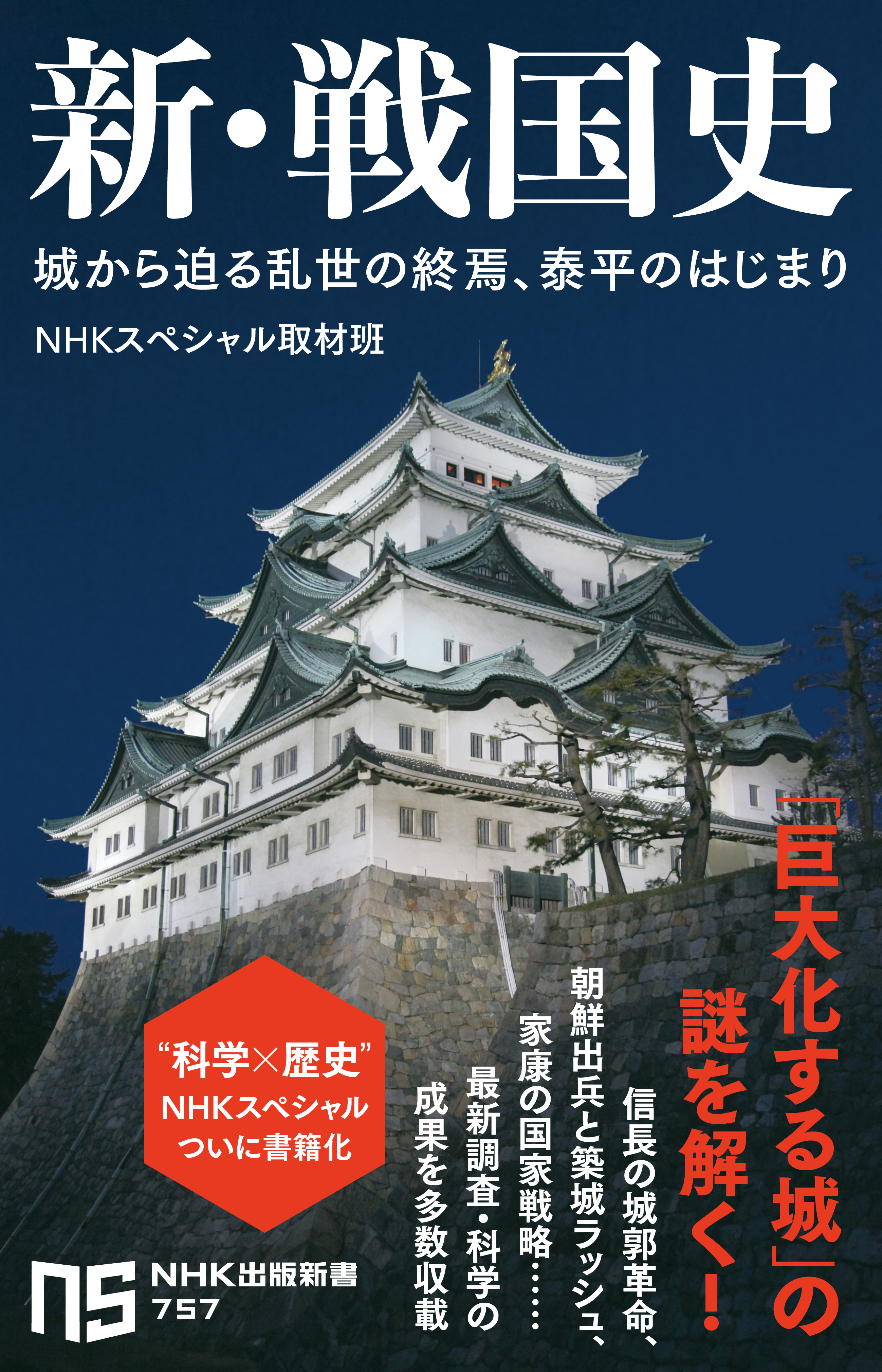 新・戦国史　城から迫る乱世の終焉、泰平のはじまり