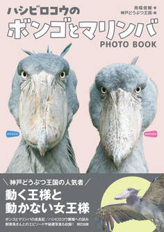 ハシビロコウのボンゴとマリンバ