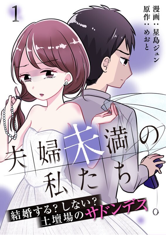 夫婦未満の私たち～結婚する?しない?土壇場のサドンデス(1)