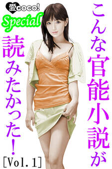 こんな官能小説が読みたかった!vol.1