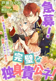 急募! 完璧な独身貴公子!~王妹は最愛のお姉様にふさわしい婿殿を求めて奔走中~