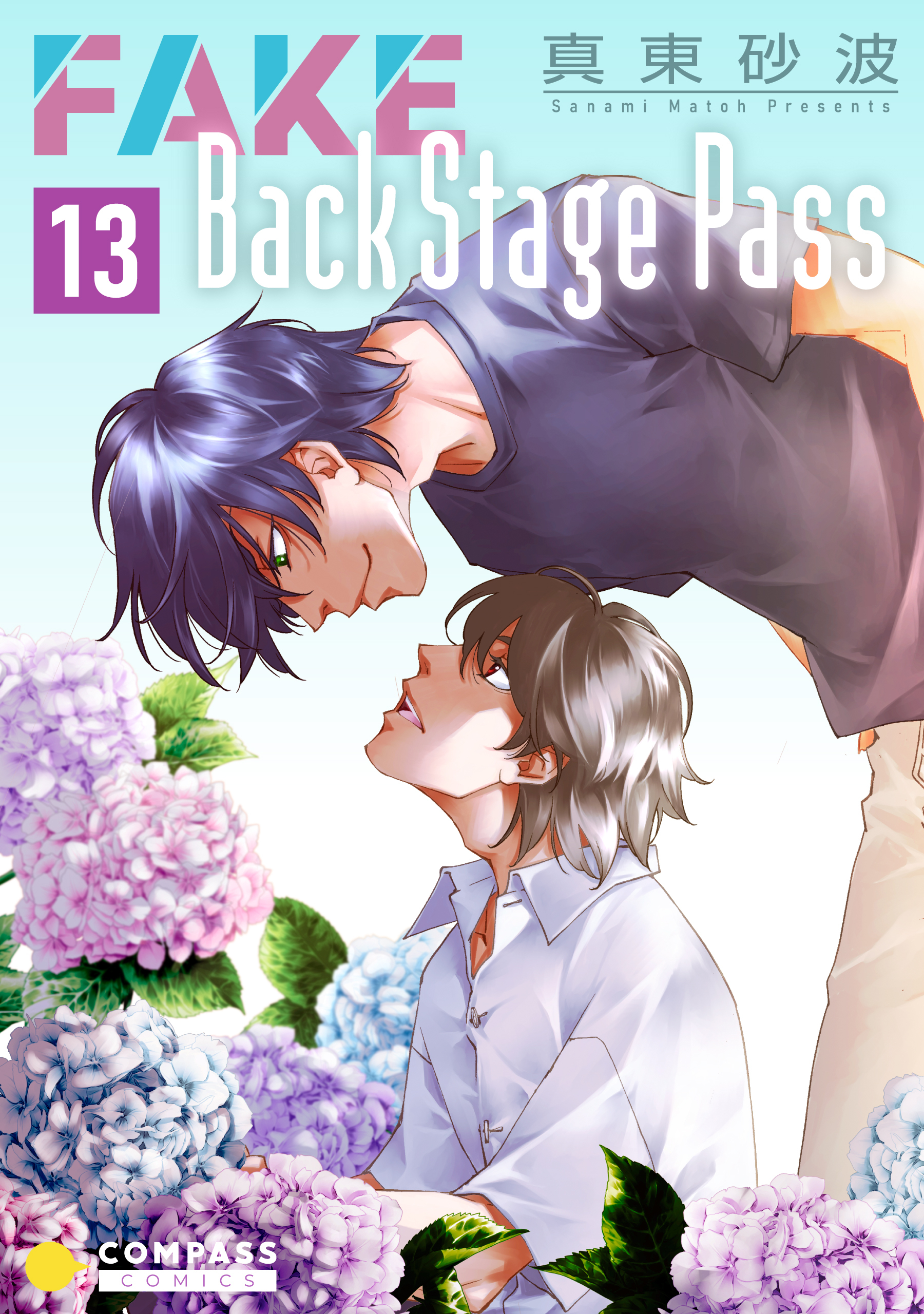 FAKE Back Stage Pass（13）