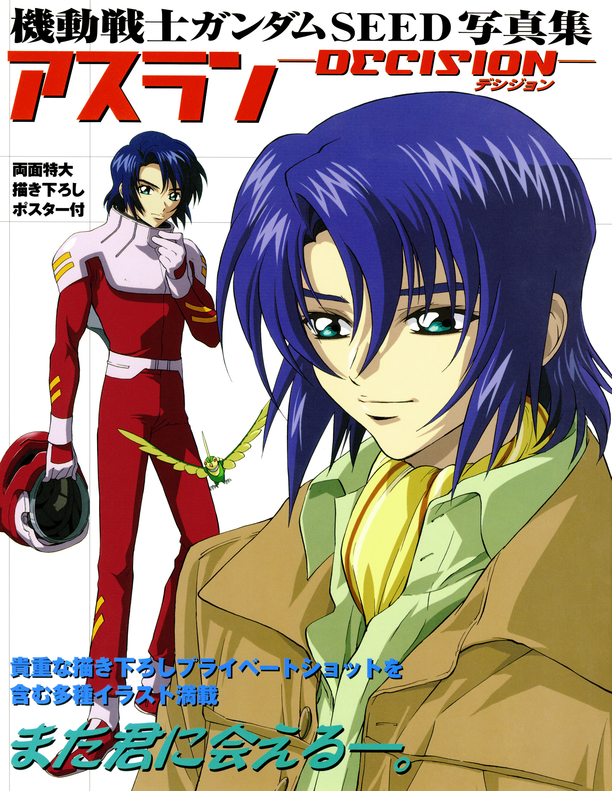 機動戦士ガンダムＳＥＥＤ写真集