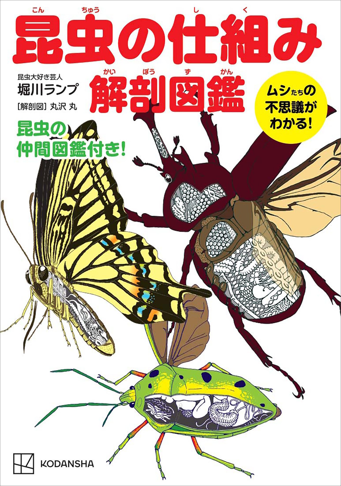 昆虫の仕組み　解剖図鑑　ムシたちの不思議がわかる！