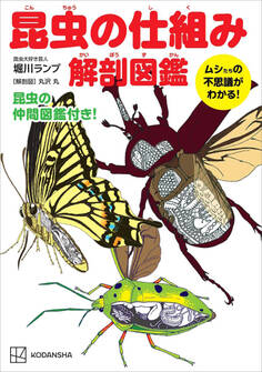 昆虫の仕組み 解剖図鑑 ムシたちの不思議がわかる!
