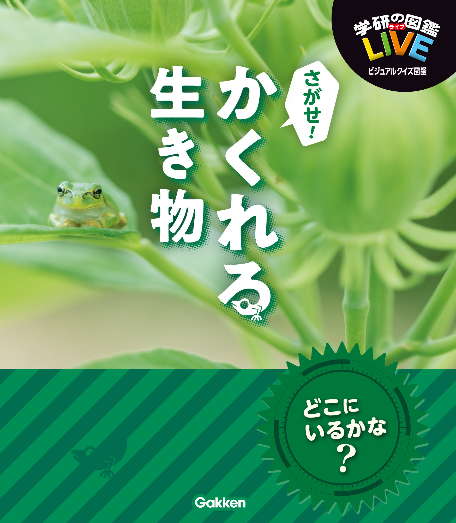 さがせ！かくれる生き物