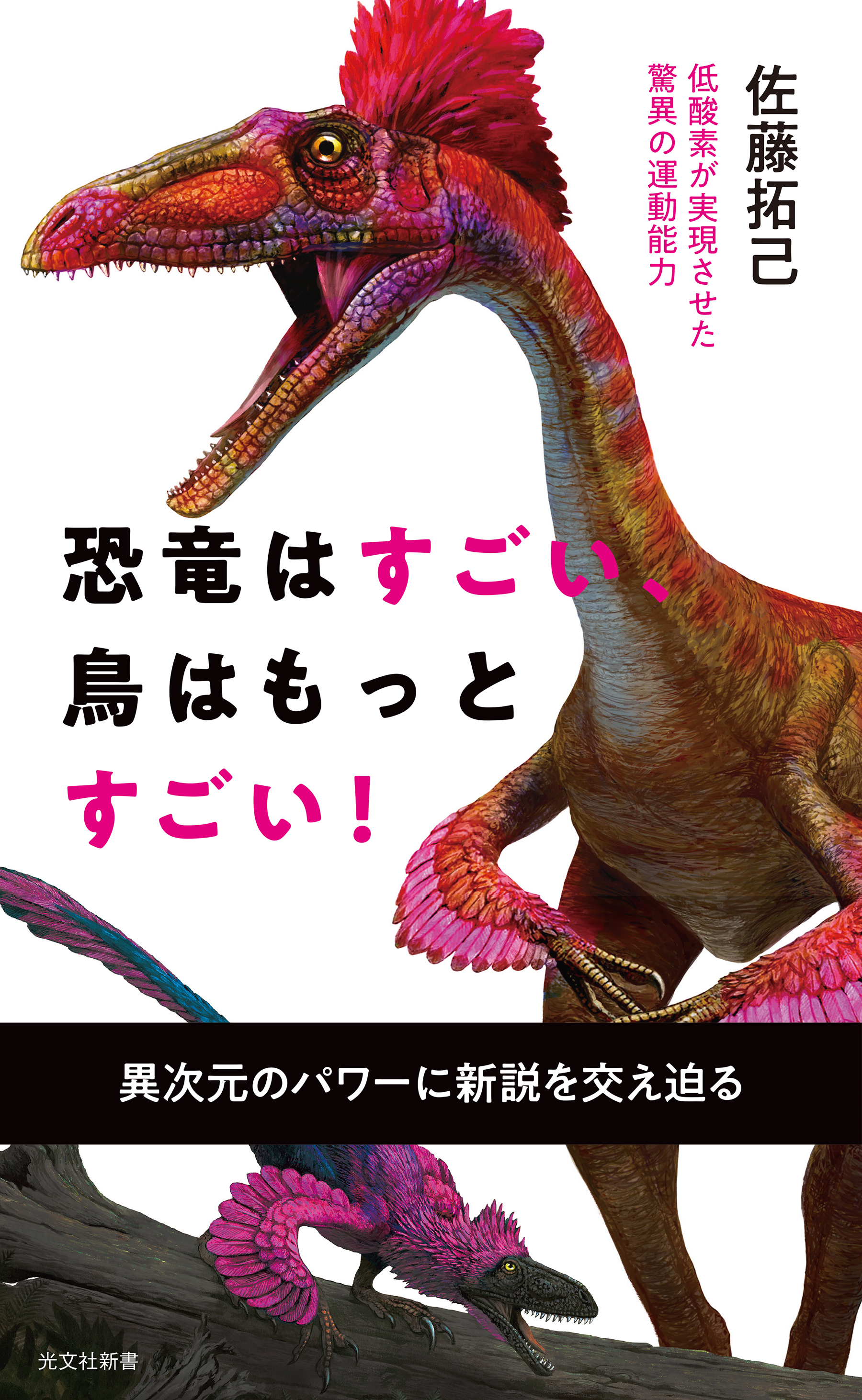 恐竜はすごい、鳥はもっとすごい！～低酸素が実現させた驚異の運動能力～