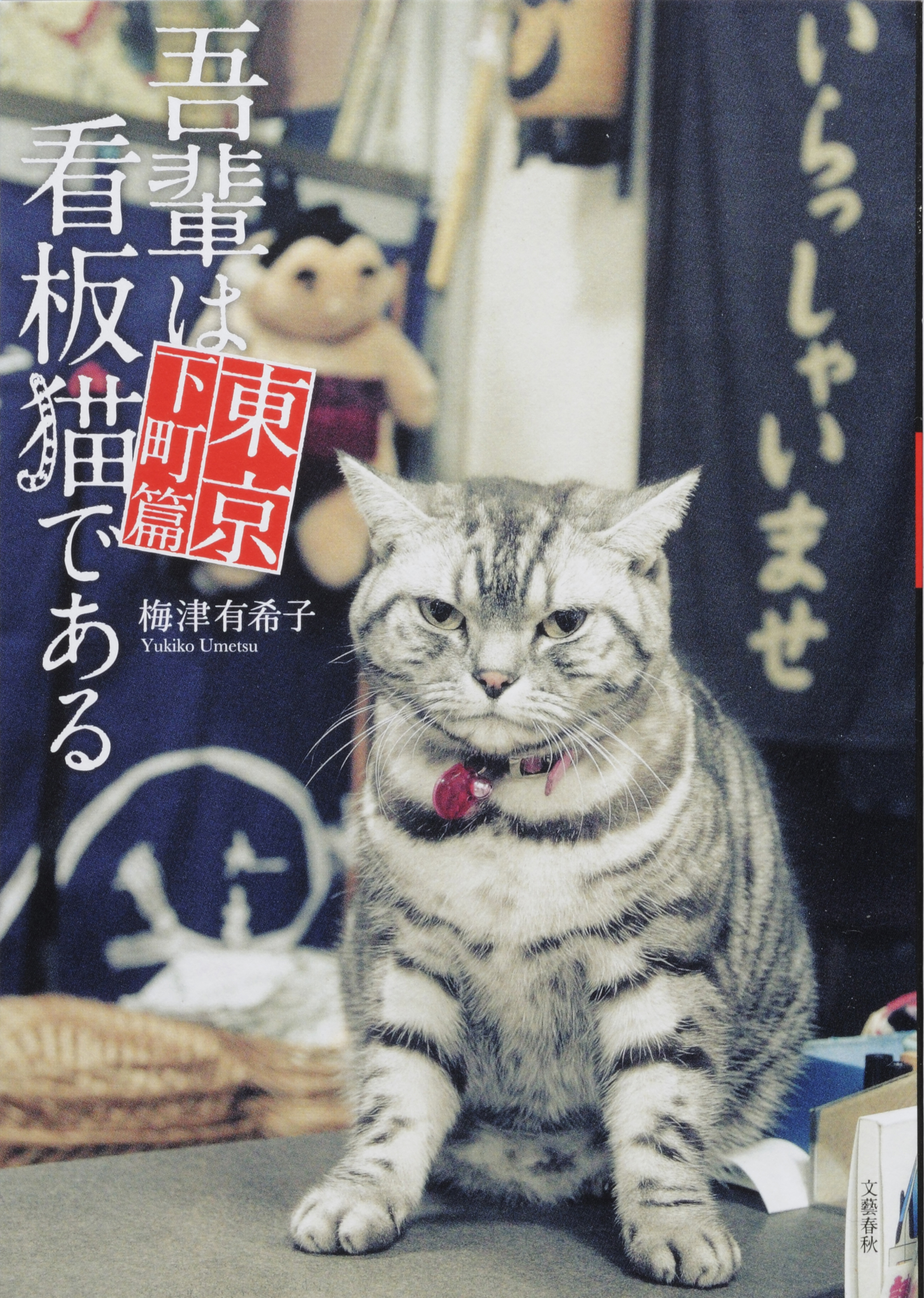 吾輩は看板猫である