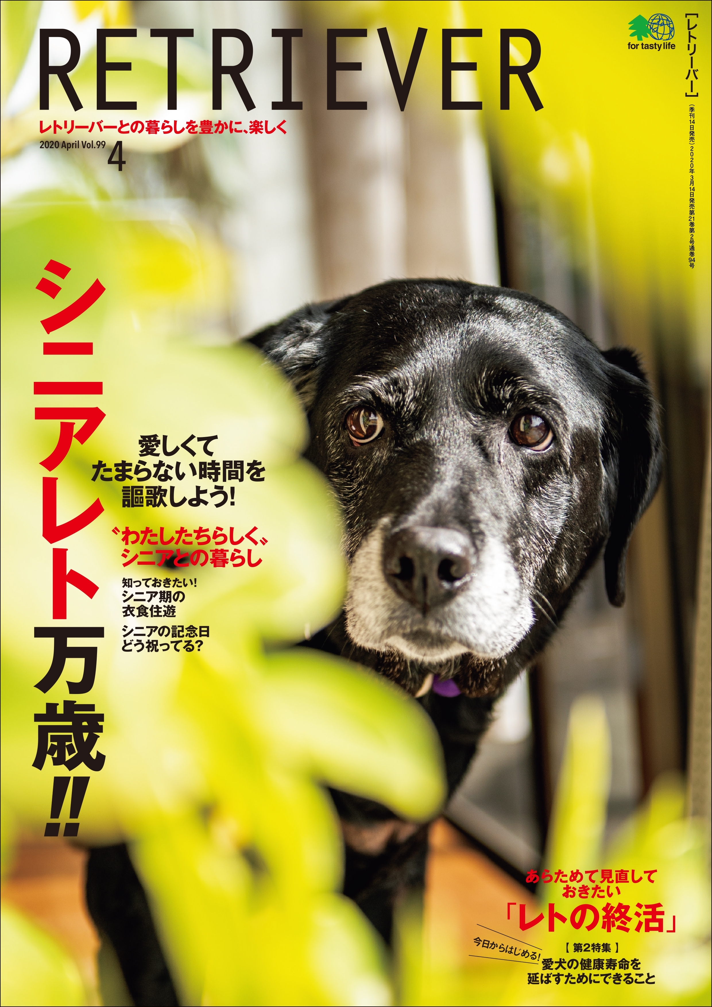RETRIEVER 2020年4月号