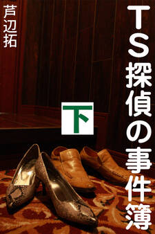 TS探偵の事件簿
