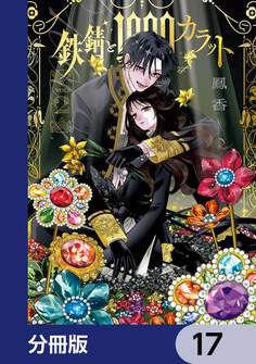 鉄錆と1000カラット【分冊版】 17