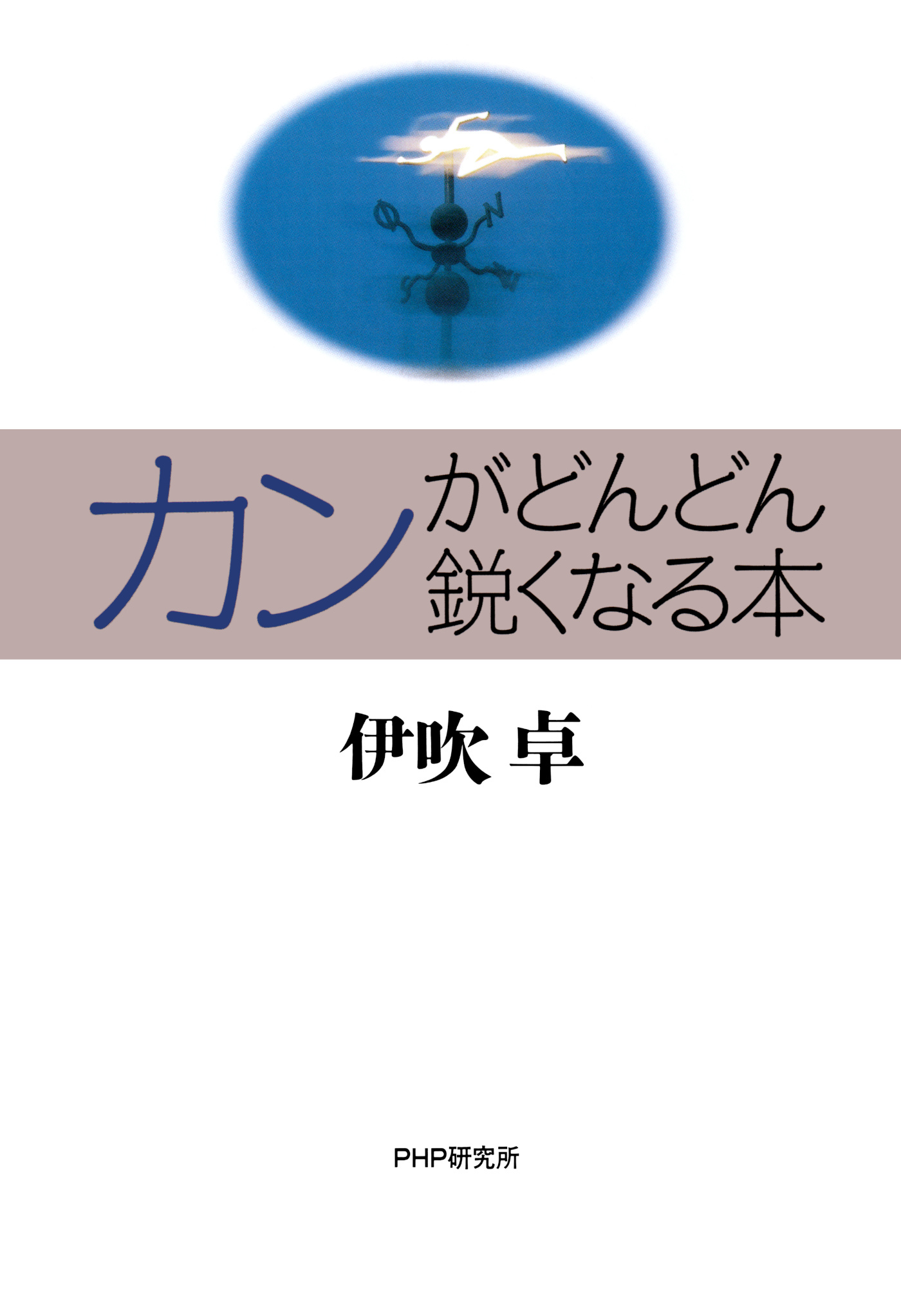 カンがどんどん鋭くなる本
