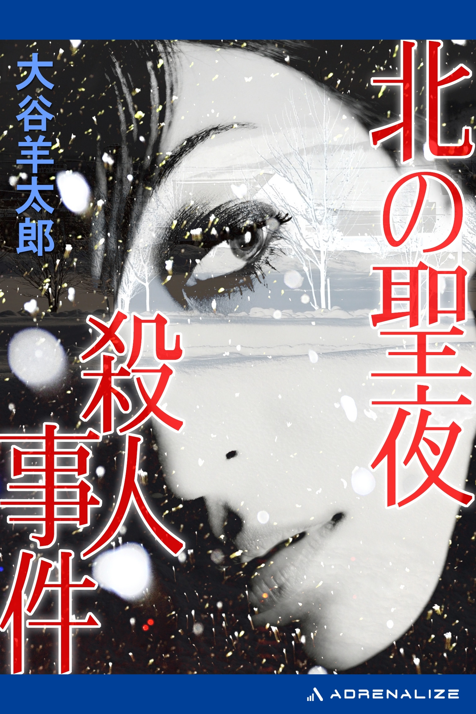 北の聖夜殺人事件