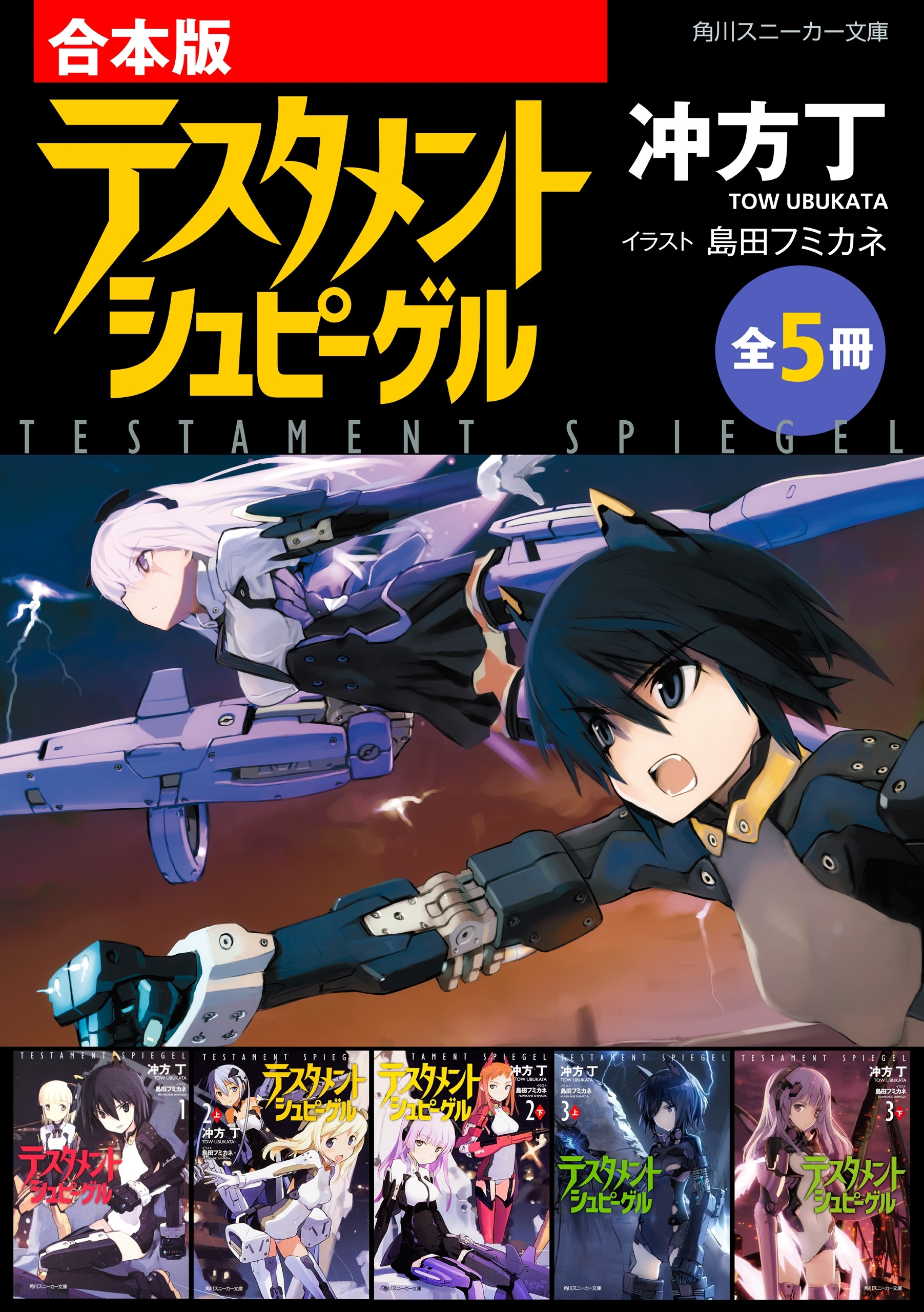 【合本版】テスタメントシュピーゲル　全5冊