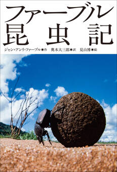 小学館世界J文学館 ファーブル昆虫記