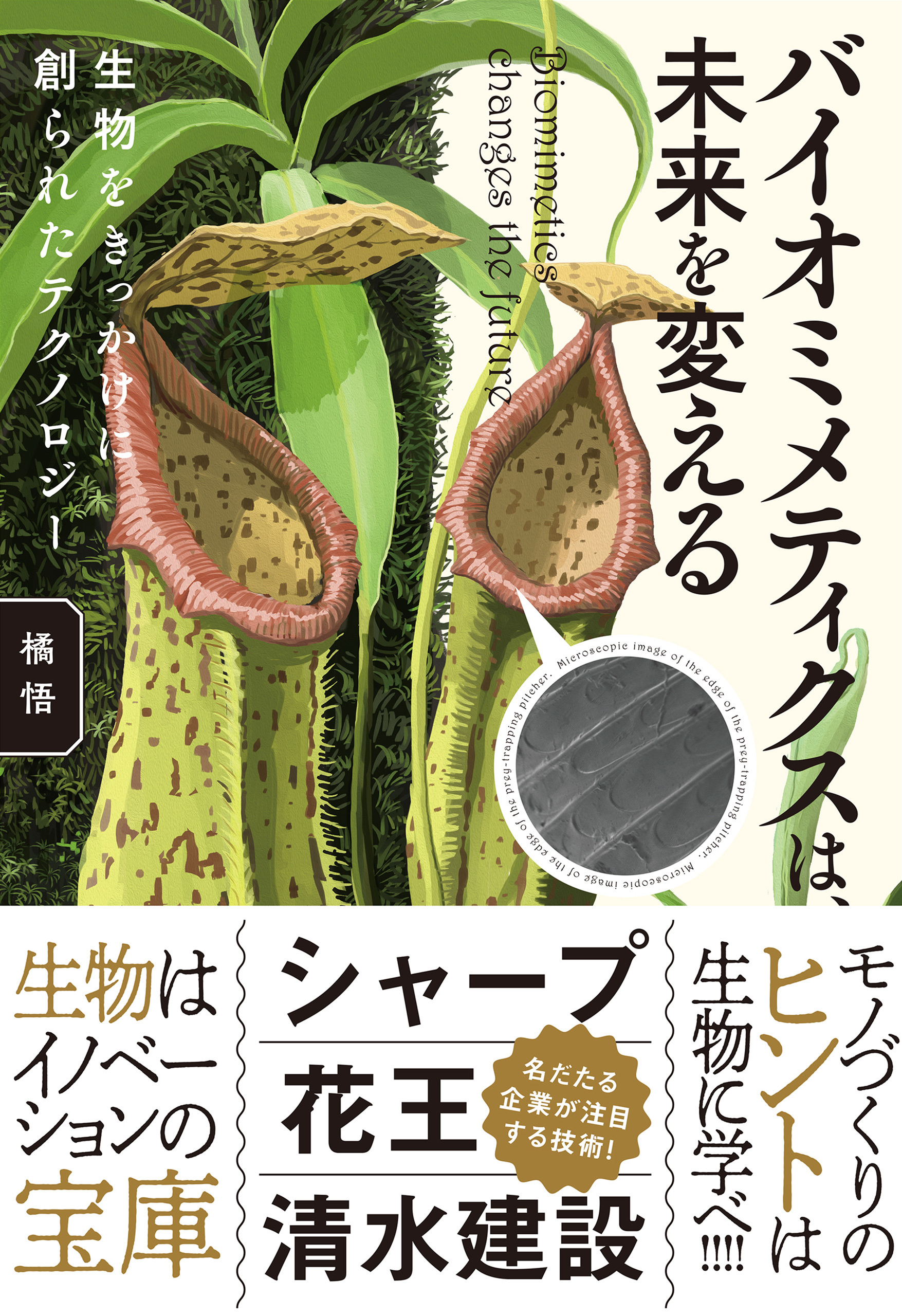 バイオミメティクスは、未来を変える