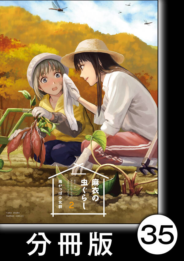 麻衣の虫ぐらし 分冊版 35 無料 試し読みなら Amebaマンガ 旧 読書のお時間です