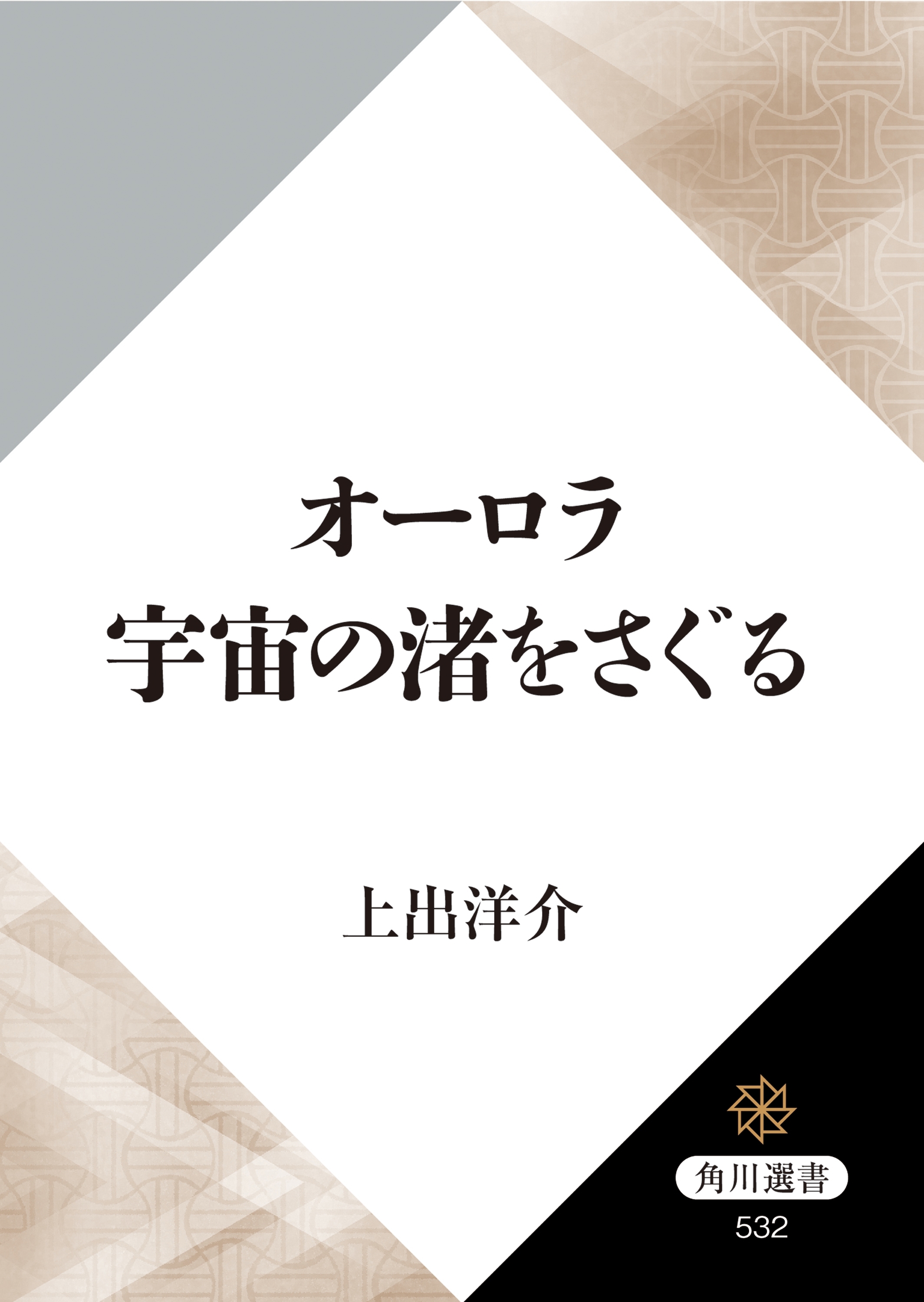 オーロラ　宇宙の渚をさぐる