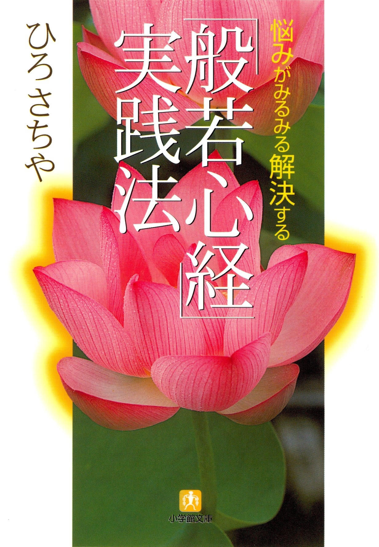 般若心経実践法（小学館文庫）