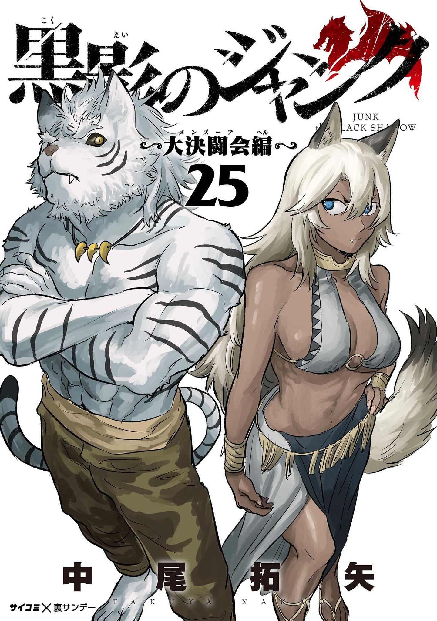 黒影のジャンク～大決闘会編～ 25