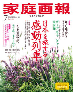 家庭画報