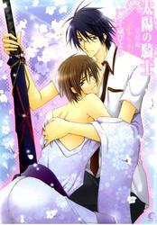 太陽の騎士 完結編