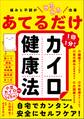痛みと不調がみるみる改善 あてるだけカイロ健康法