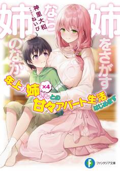 姉をさがすなら姉のなか