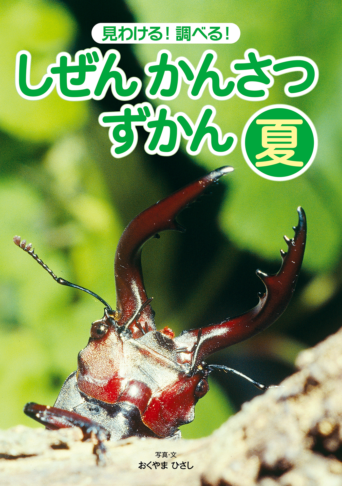 見わける！　調べる！　しぜんかんさつずかん　夏