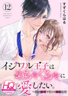 イジワル王子はめちゃくちゃに愛したい。~疑似新婚で甘エロ調教生活【HQカラー】(12)