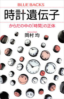 時計遺伝子 からだの中の「時間」の正体