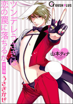 ツンデレうさぎは恋の罠に落ちるか番外編 うさぎかぜ