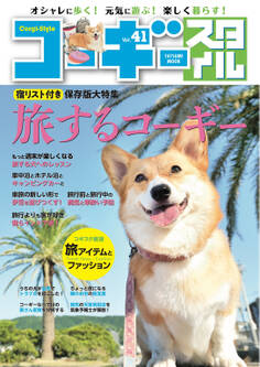 コーギースタイル Vol.41