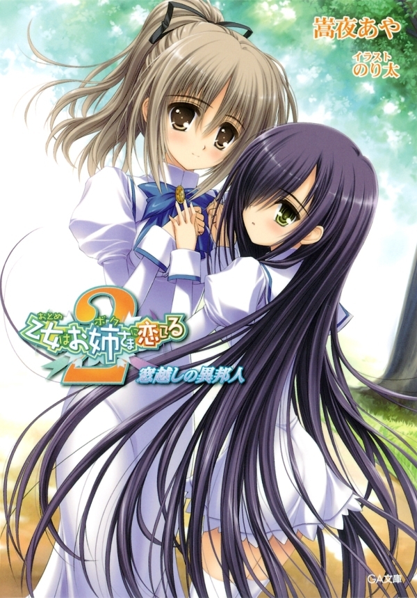 乙女はお姉さまに恋してる２　～窓越しの異邦人～