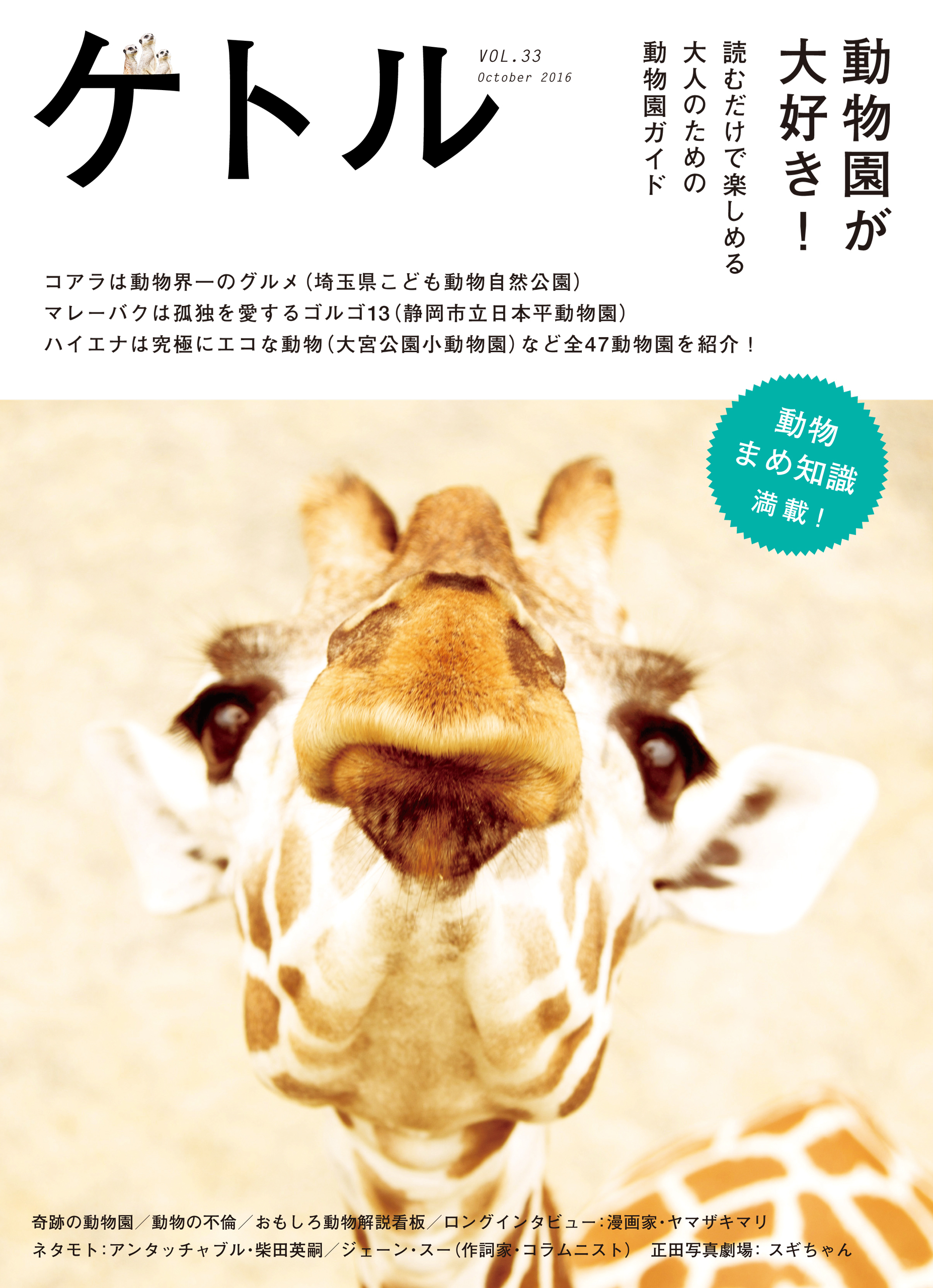 ケトル　Vol.33  2016年10月発売号