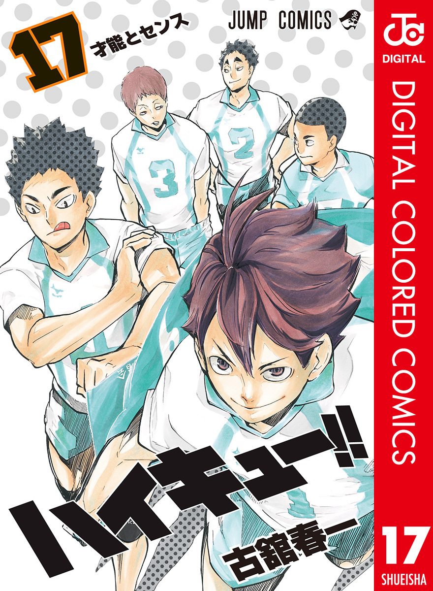 ハイキュー！！ カラー版 17