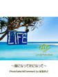 HY Lyric&Photo Book LIFE ~歌詞&フォトブック~ 風になって花になって