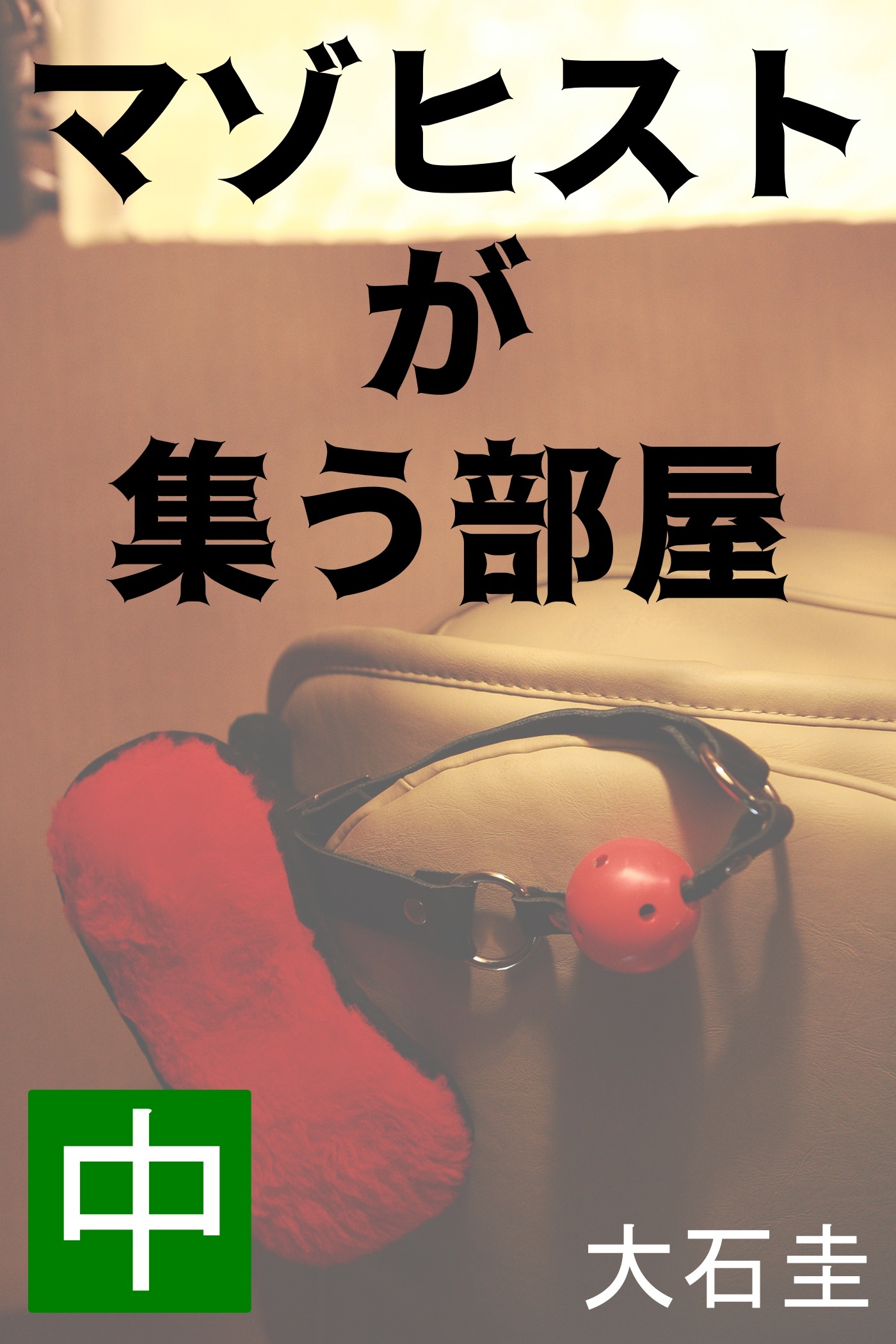 マゾヒストが集う部屋　中　有閑マダム