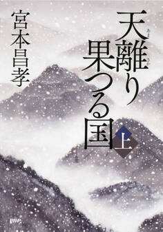 天離り果つる国(上)