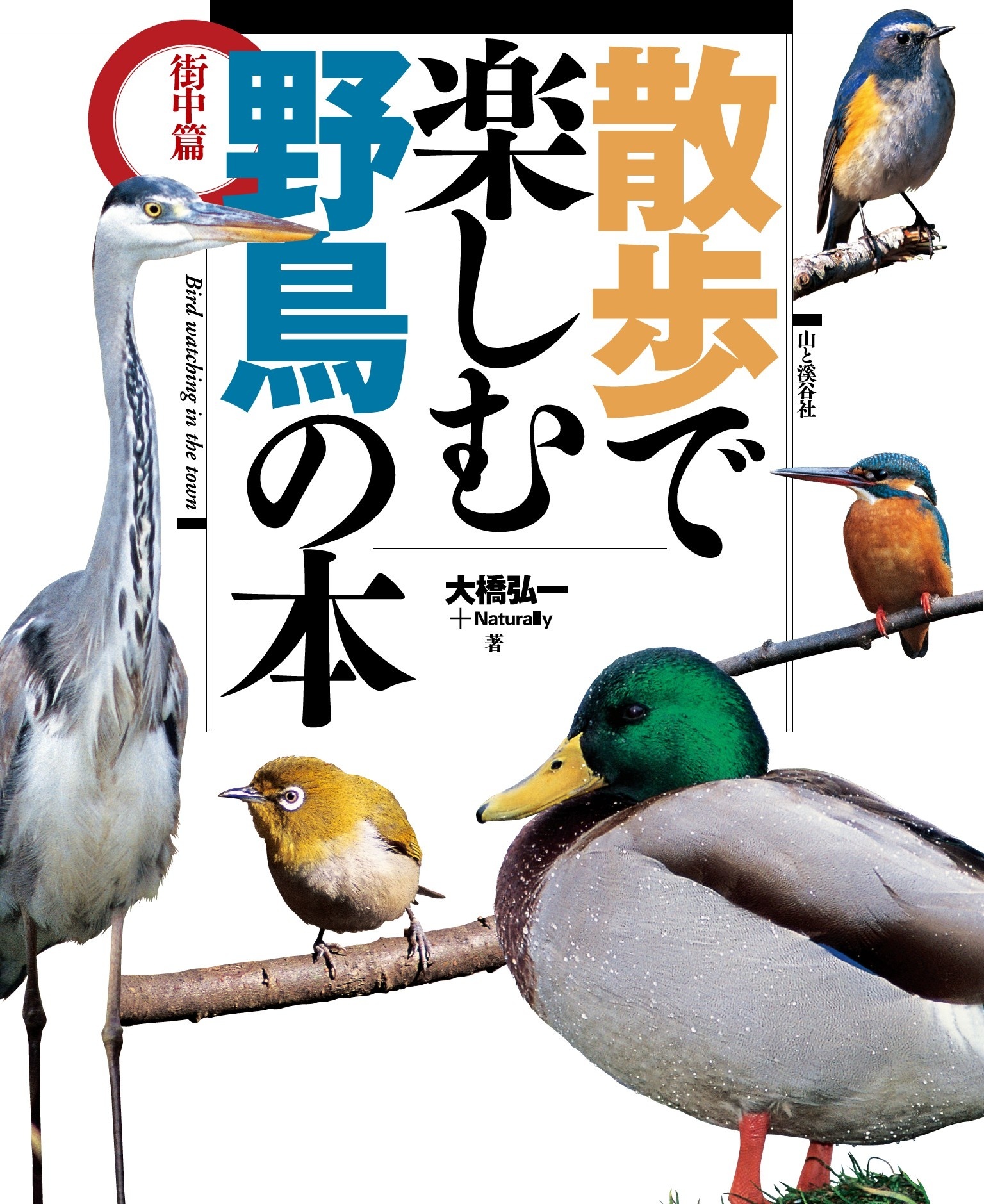散歩で楽しむ野鳥の本