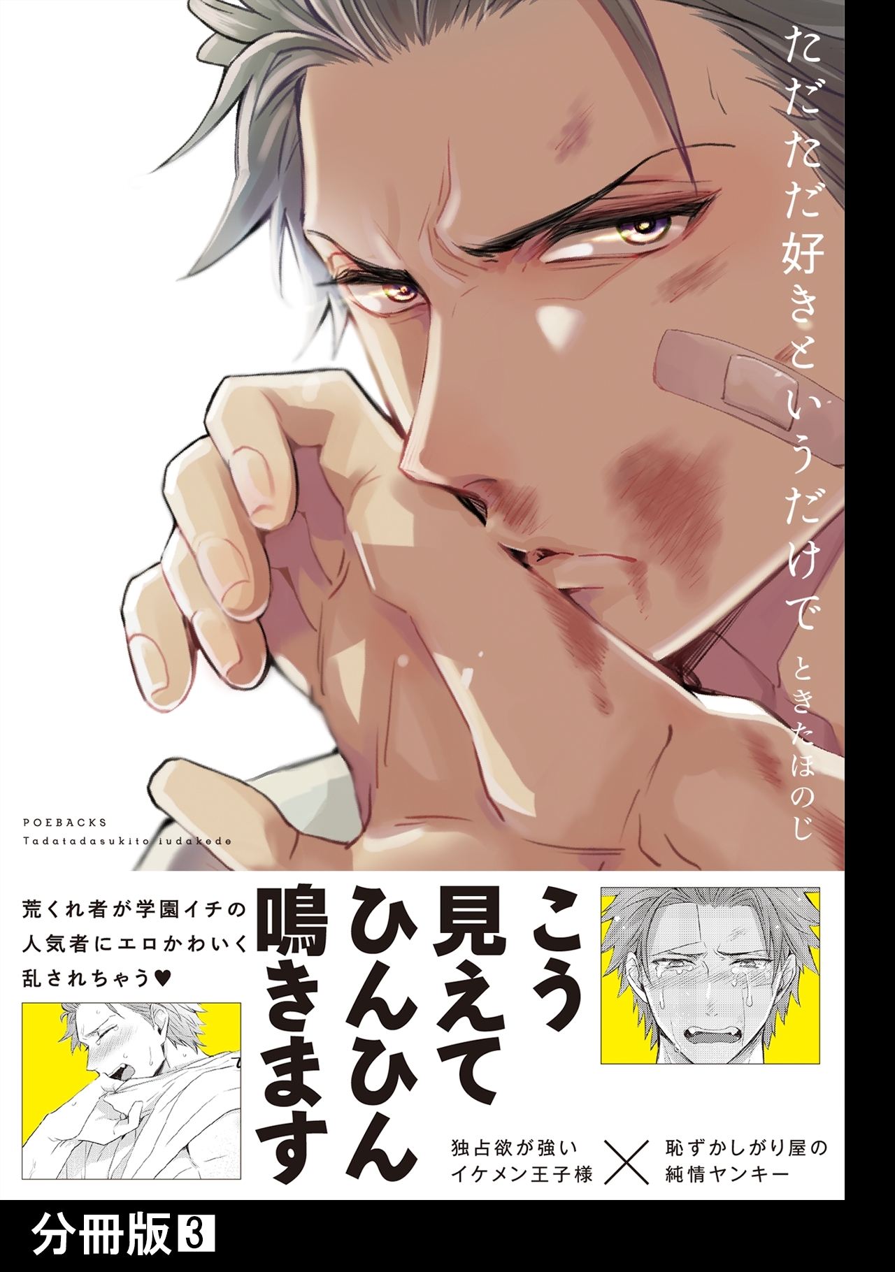 ただただ好きというだけで【分冊版】(3)